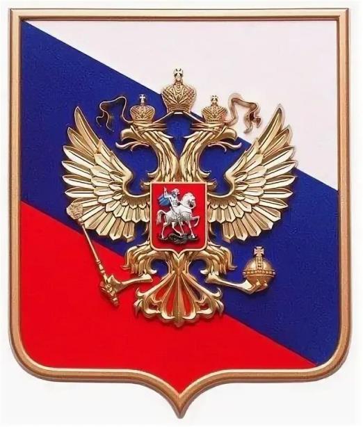 Органы государственной власти РФ
